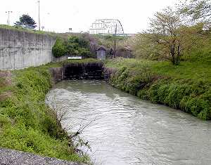 20100428tenjyo (05).jpg